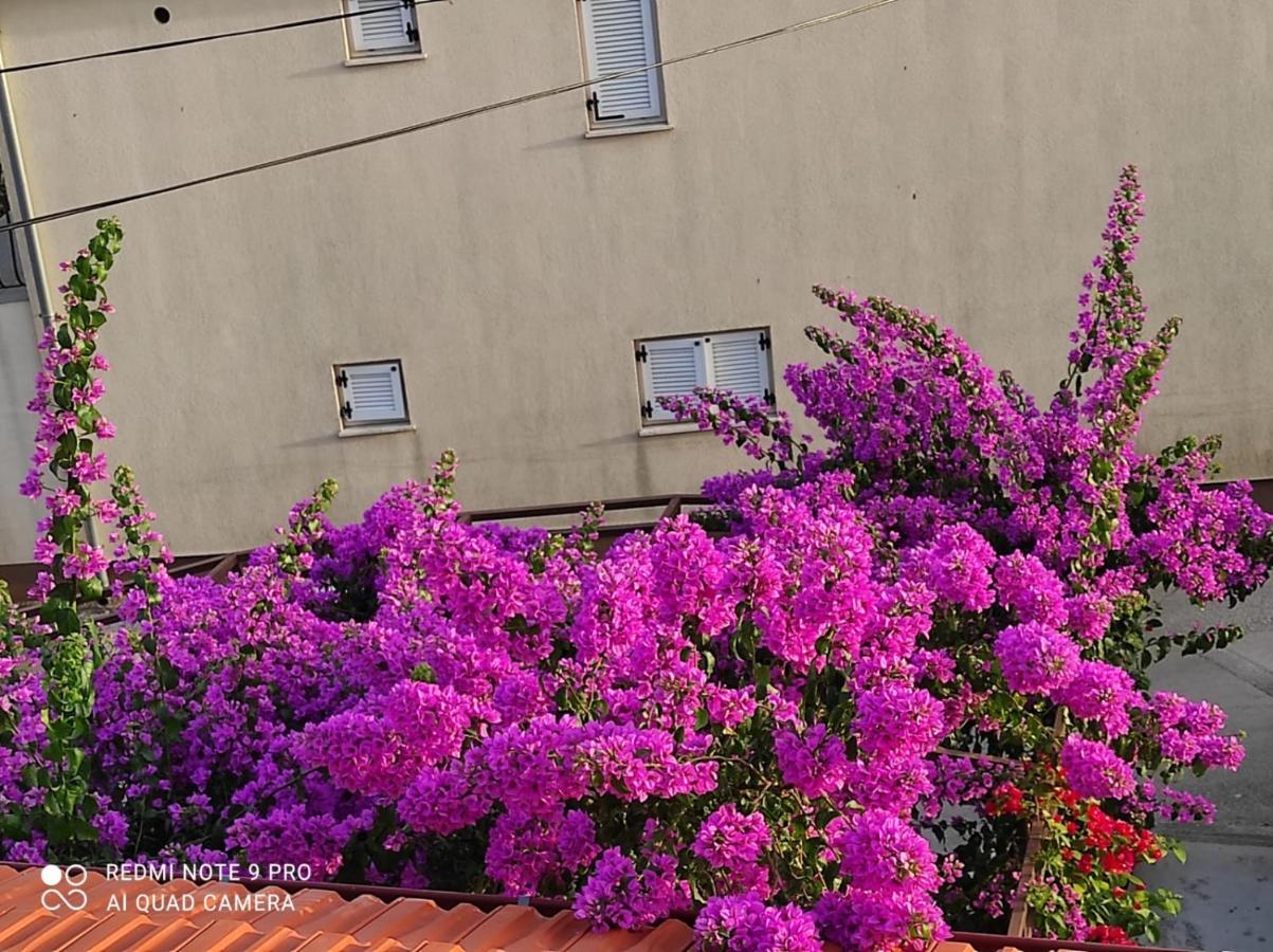 Apartments Iva Pakoštane Exterior foto